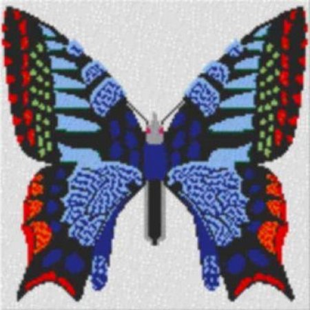 Butterfly 60x60cm bunt als Entwurfdruck