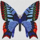 Butterfly 60x60cm bunt als Volldruck