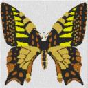 Butterfly 60x60cm yellow Style als Volldruck