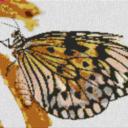 Butterfly1 80x60cm cartoon Style als Entwurfdruck