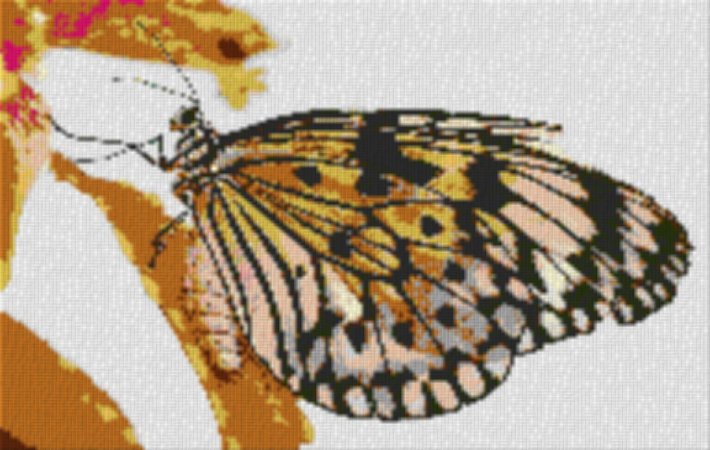 Butterfly1 80x60cm cartoon Style als Volldruck