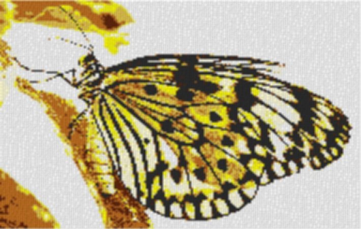 Butterfly1 80x60cm yellow Style als Entwurfdruck