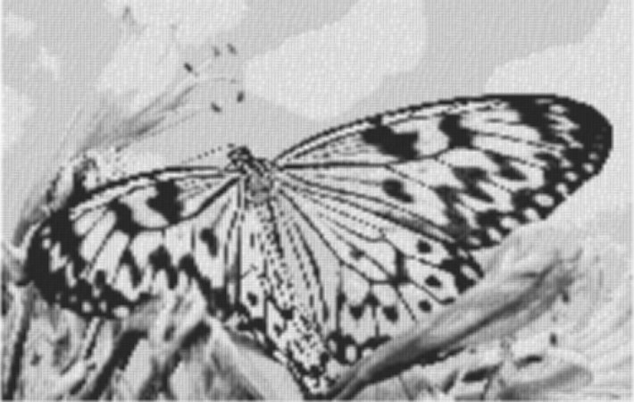 Butterfly2 80x60cm schwarz/weiß per eMail