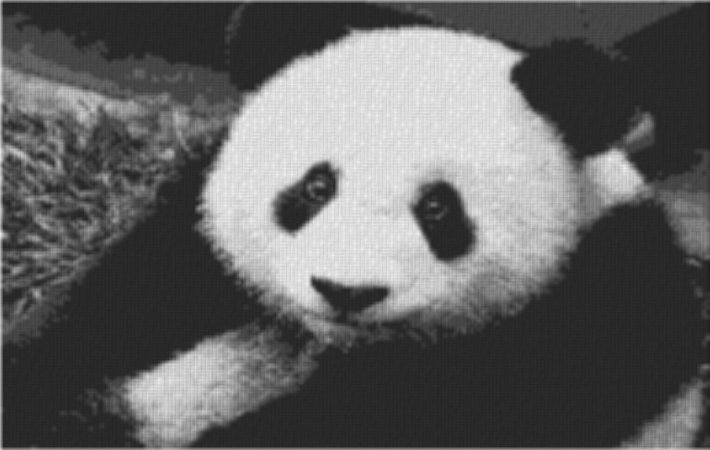 Panda 80x60cm schwarz/weiß als Volldruck