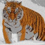 Tiger im Schnee 80x60cm cartoon Style per eMail