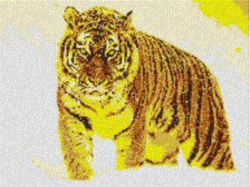 Tiger im Schnee 80x60cm yellow Style als Volldruck
